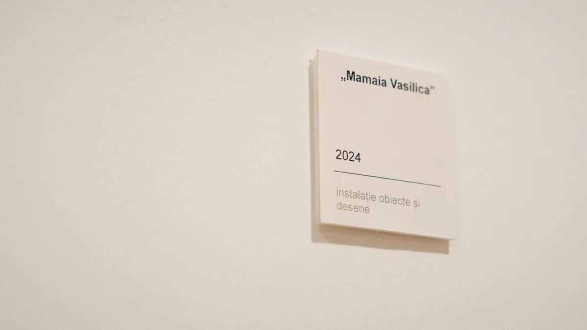 Exhibition wall label: Mamaia Vasilica, 2024, object and drawing installation